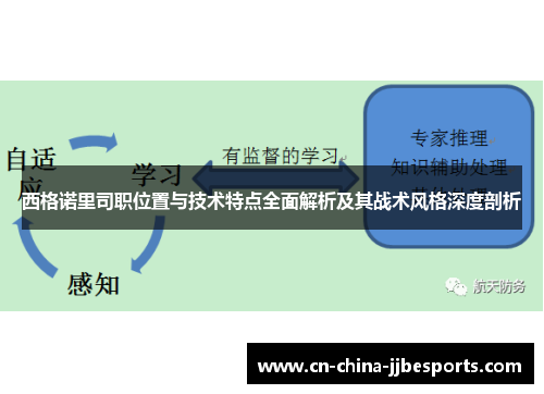 西格诺里司职位置与技术特点全面解析及其战术风格深度剖析 西格诺里司职位置与技术特点全面解析及其战术风格深度剖析